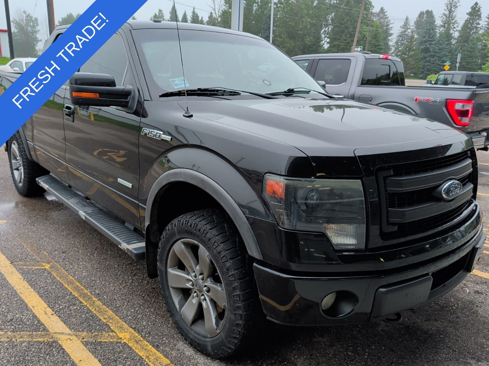 2014 Ford F-150 FX4